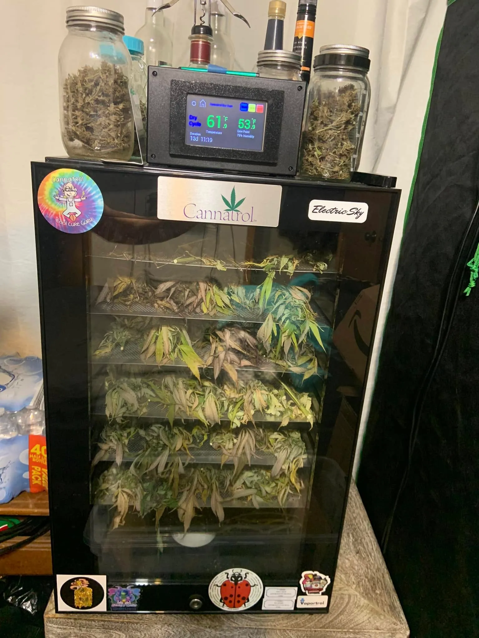 A cannabis drying cabinet with a hygrometer showing 61% humidity